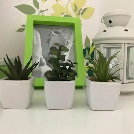 Green Apartment Apartment *